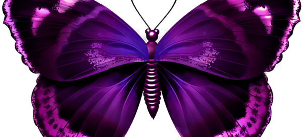 Epidermolise Bolhosa